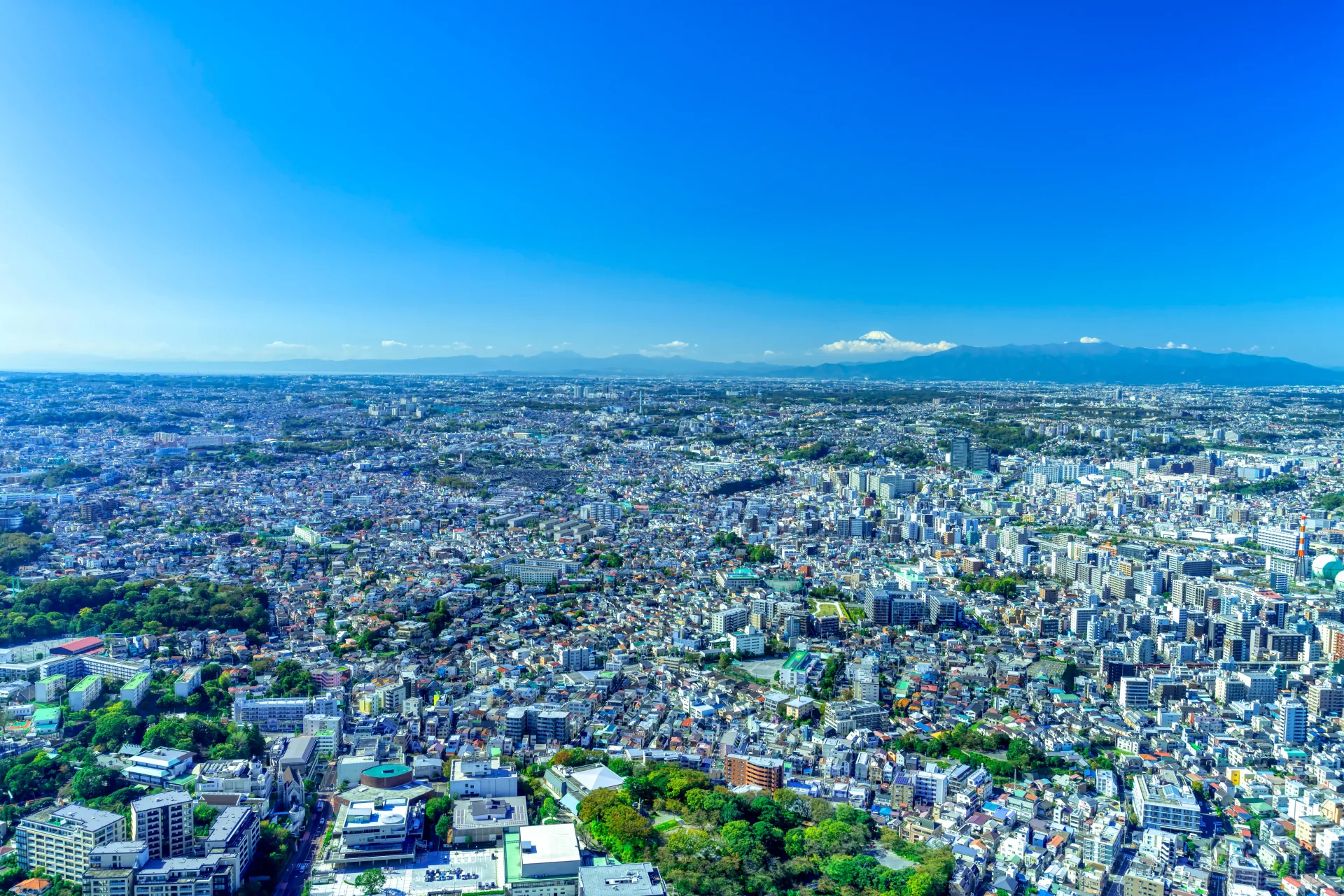地域密着の専門家対応